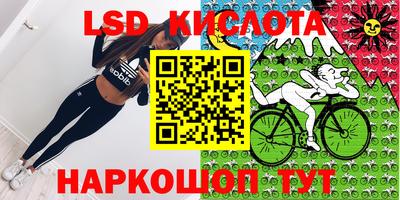 прущие крисы Будённовск