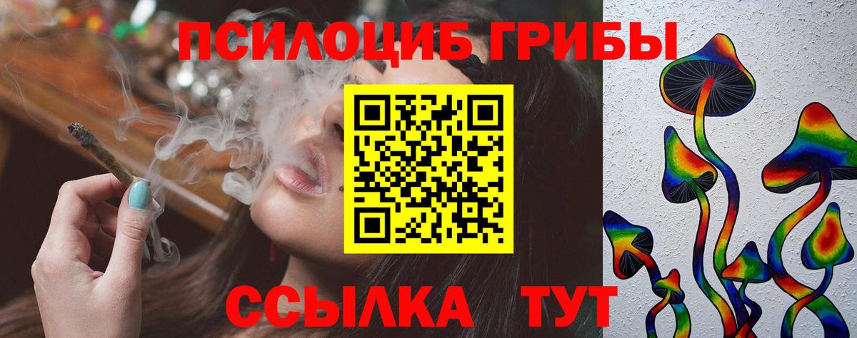 Псилоцибиновые грибы Cubensis  Псилоцибиновые грибы Psilocybe  Вход с VPN  Ялуторовск 